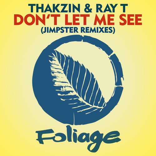 Thakzin, Ray T - Don’t Let Me See (Jimpster Remixes) [FN091]